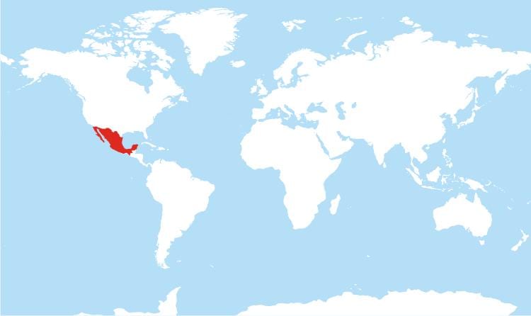 ubicació de Mèxic en el mapa del món