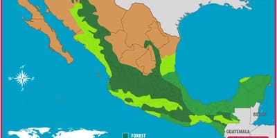 Mapa de Mèxic boscos