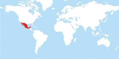 Mapa de Mèxic global