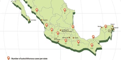 Zika Mèxic mapa